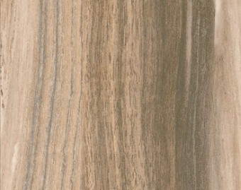 [200111130_52] Creation 55 - 1282 Palissandro Beige